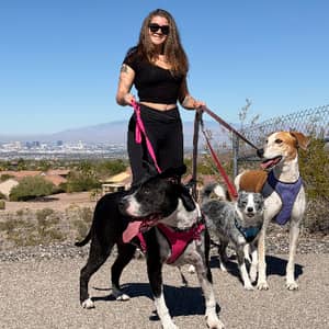 Sitter Profile Image: Lauryn H.