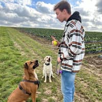 Sitterprofilbild: Fabian Q.