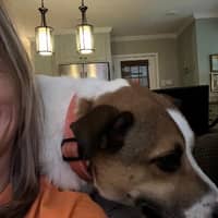 Sitter Profile Image: Alexis D.