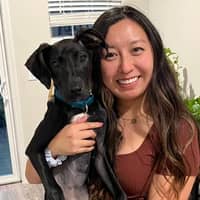 Sitter Profile Image: Amy & George L.