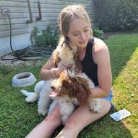 Sitter Profile Image: Abigail K.