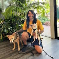 Sitter Profile Image: Anthony Paul G.