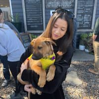 Sitter Profile Image: Lauren C.