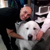 Sitter Profile Image: Ryan M.