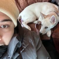 Sitter Profile Image: Giovanni R.