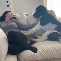 Sitter Profile Image: Wendy P.