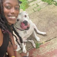 Sitter Profile Image: Merci S.