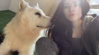 Photo de profil du pet sitter : Mickaela S.