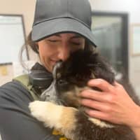 Sitter Profile Image: Mary M.