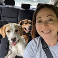 Sitter Profile Image: Lisa K.