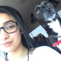 Sitter Profile Image: Leslie R.