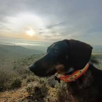 Foto del cuidador: Maria Pilar P.