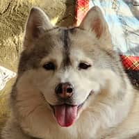 Sitter Profile Image: Debra A.