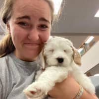 Sitter Profile Image: Madison B.