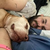 Sitter Profile Image: devon l.