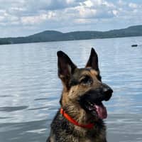 Sitter Profile Image: Denise O.