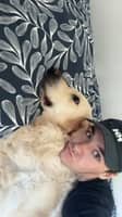 Photo de profil du pet sitter : Paul C.