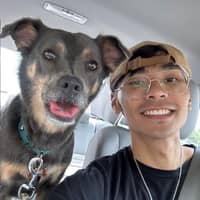 Sitter Profile Image: William T.