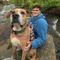 Sitter Profile Image: Courtney P.