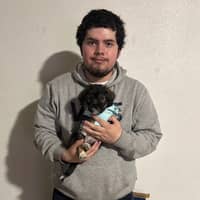 Sitter Profile Image: Paul Adonis N.