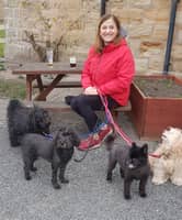 Sitter Profile Image: Julie O.