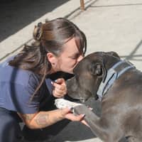 Photo de profil du pet sitter : Alexia L.