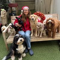 Sitter Profile Image: Irina A.