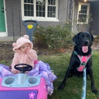 Sitter Profile Image: Gina A.