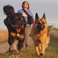 Sitter Profile Image: Crystal F.