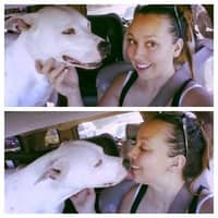 Sitter Profile Image: Brandi R.