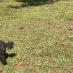 Sitter Profile Image: Debra G.