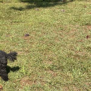 Sitter Profile Image: Debra G.