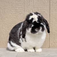 Sitter Profile Image: Jennifer W.