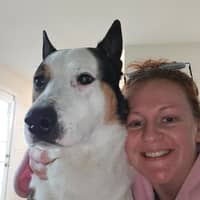 Sitter Profile Image: Anna W.