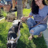 Sitter Profile Image: Allison D.