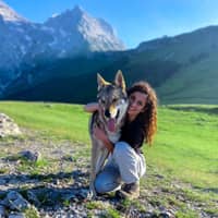 Immagine del profilo del sitter: Sara K.