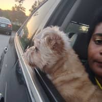 Sitter Profile Image: Kaina W.