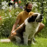 Photo de profil du pet sitter : Ludovic L.