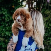 Sitter Profile Image: Kayla K.