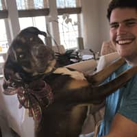 Sitter Profile Image: Jack H.