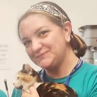 Sitter Profile Image: Candice S.