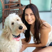 Sitter Profile Image: Beril N.