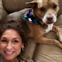 Sitter Profile Image: Pamela H.