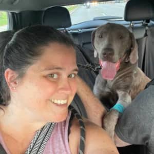 Sitter Profile Image: Rachel M.