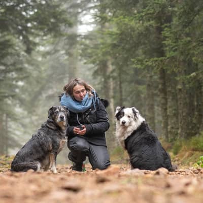 Photo de profil du pet sitter : Morgane V.