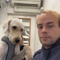 Profilbilde av hundepasser: Tobias B.