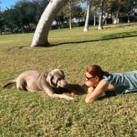 Sitter Profile Image: wieslawa a.