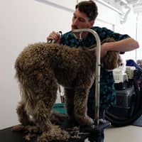 Sitter Profile Image: Tyler M.