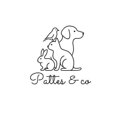 Photo de profil du pet sitter : Camille C.