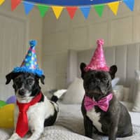 Sitter Profile Image: Jeanette B.